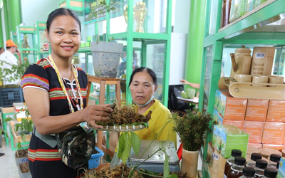 Đà Nẵng: Đẩy mạnh xã hội hóa Lễ hội Sâm Ngọc Linh, gắn kết cộng đồng vào phát triển kinh tế