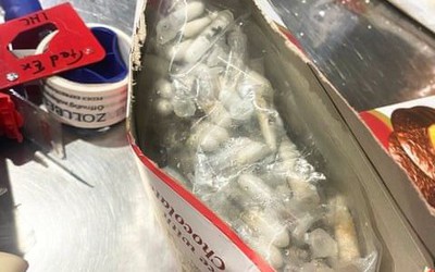 Mở hộp bánh tại sân bay, phát hiện cảnh tượng nổi da gà