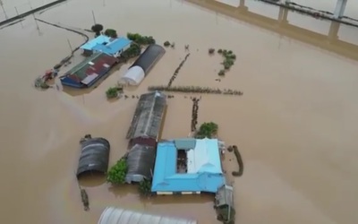 Nông dân Hàn Quốc lo sợ lũ lụt tàn phá