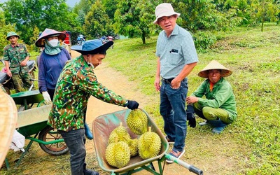 Bầu Đức hé lộ HAGL có thể lãi kỷ lục 2.500 tỷ đồng năm 2025