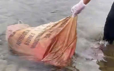 Quảng Trị: Người dân bức xúc vì xác heo chết vứt ở suối