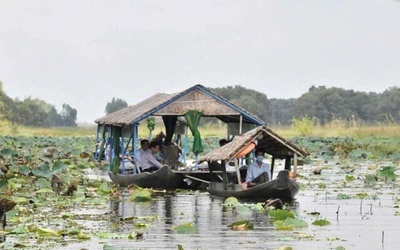 Gọi sếu về Đồng Tháp Mười