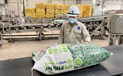 Phân bón và Hóa chất Dầu khí Miền Trung bão lãi tăng mạnh