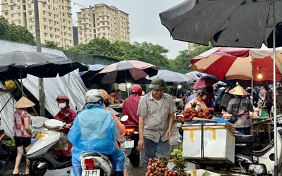 Thịt lợn, rau xanh đắt hàng trước giờ bão số 3 Wipha đổ bộ