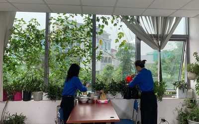 Tuổi trẻ Hội Luật gia Việt Nam hưởng ứng "Ngày Chủ nhật xanh"