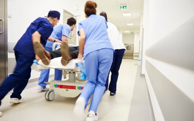 Trèo cây cắt tỉa cành tránh bão, cụ ông 71 tuổi bị ngã trọng thương