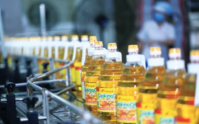 Nợ vay của Vocarimex tăng đột biến