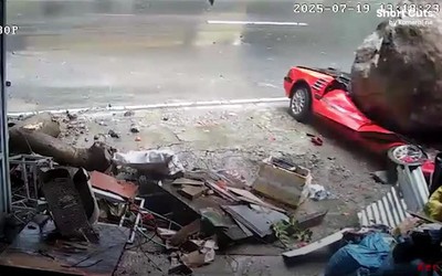 Khoảnh khắc chú chó thoát chết trong gang tấc khi đá lở đè nát chuồng