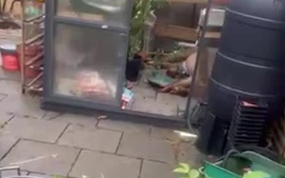 Kiểm tra vườn, vợ chồng trẻ sốc trước những gì nhìn thấy