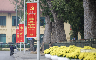 Hà Nội chặt hạ, di chuyển 27 cây xanh để thi công đường Hùng Vương, Độc Lập kéo dài