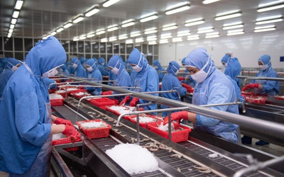 Sao Ta báo lãi tăng trưởng nhờ vụ tôm hiệu quả