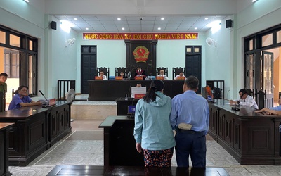 Thực hiện 11 vụ lừa đảo chiếm đoạt gần 29 tỷ đồng, người phụ nữ trả giá đắt