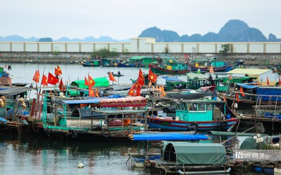 Thủ tướng yêu cầu xử lý hình sự các vi phạm nghiêm trọng về IUU