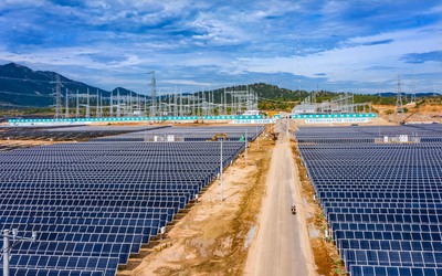 Trung Nam Thuận Nam báo lãi hơn 138 tỷ đồng trong năm 2024