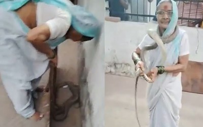 Phát hiện rắn chui vào nhà, cụ bà 70 tuổi có hành động gây sốc