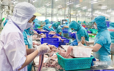 Lợi nhuận IDI khởi sắc nhờ doanh thu cá tra tăng vọt