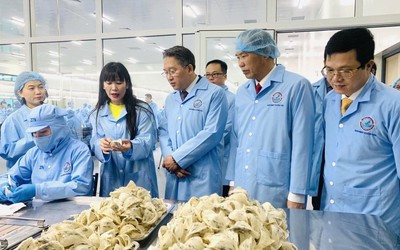 Doanh thu giảm tốc, Sanvinest vẫn giữ đà lợi nhuận
