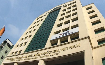 Vinare sắp phát hành hơn 18 triệu cổ phiếu trả cổ tức