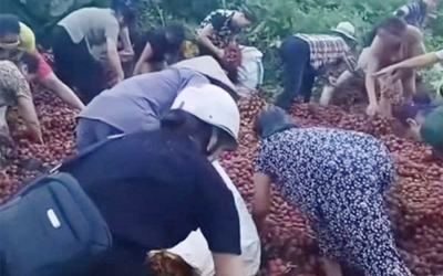 Vụ hàng chục người nhặt vải ven đường sau tai nạn có kết thúc đầy tình người