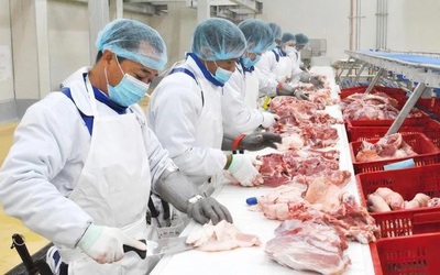 Ông chủ heo ăn chay BAF lãi lớn nhất lịch sử kinh doanh