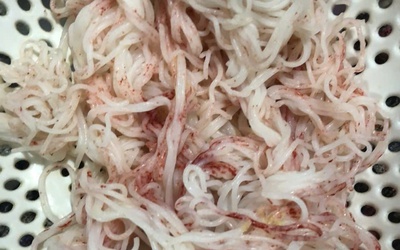 Bún đổi màu sau vài giờ mua về: Tạm đình chỉ cơ sở sản xuất