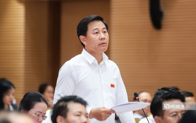 Hà Nội nói gì về thông tin rau phun thuốc chiều hôm trước được mang bán sáng hôm sau?