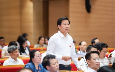 40% thịt tiêu thụ chưa kiểm soát rõ, Hà Nội đặt lộ trình xóa bỏ giết mổ nhỏ lẻ