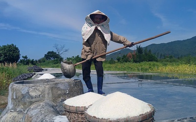 Diêm dân miệt mài giữa nắng đỉnh điểm, thu nhập vỏn vẹn 200.000 đồng mỗi ngày