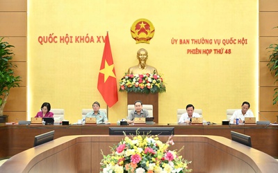 "Giám sát không cần phải đi những đoàn dềnh dang, rầm rộ"