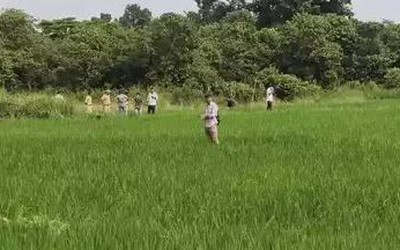 Đang làm ruộng, người đàn ông 65 tuổi bị hổ dữ vồ tử vong