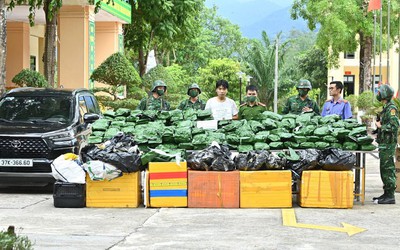 Hà Tĩnh: Bắt giữ đối tượng vận chuyển, tàng trữ 240 kg cần sa