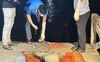 Phát hiện thi thể không nguyên vẹn trôi dạt trên biển