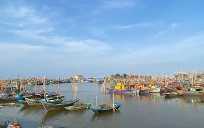 Ninh Bình cấm tàu thuyền ra khơi từ 7h ngày 24/8 ứng phó bão số 5