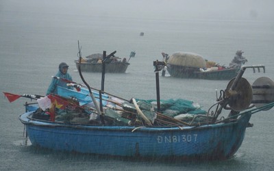Đà Nẵng phát công điện khẩn ứng phó bão số 5