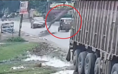 Cây xoài khô bất ngờ đổ xuống đường, đè trúng xe ba bánh