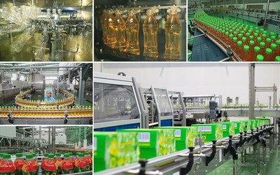 Lý do hàng triệu người tin dùng Trà Xanh Không Độ trong suốt gần 2 thập kỷ qua