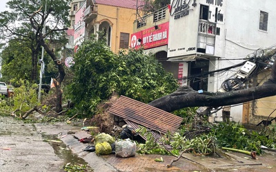 Nghệ An ngổn ngang sau bão số 5
