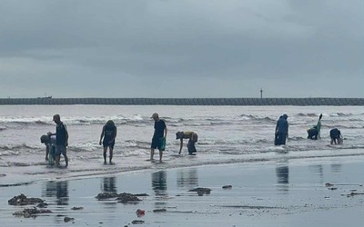 Người dân Ninh Bình ra biển nhặt "lộc trời" sau bão số 5