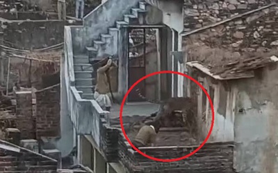 Báo dữ đột nhập vào làng, vồ 2 người đàn ông và cái kết