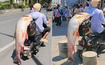 Cần thủ câu được con cá khổng lồ nặng 60kg trên sông
