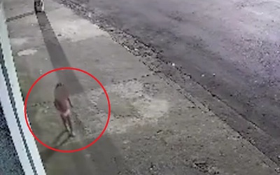 Bé gái 3 tuổi một mình lang thang trong đêm và lý do bất ngờ phía sau