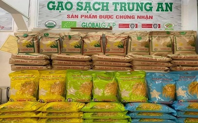 Gạo Trung An nối dài chuỗi thua lỗ