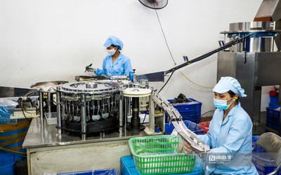 174.000 doanh nghiệp gia nhập thị trường trong 7 tháng đầu năm 2025