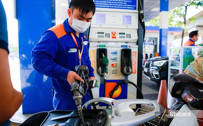 Thăng trầm các "đại gia" xăng dầu trong quý II/2025