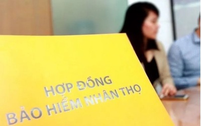 Lợi nhuận bảo hiểm nhân thọ lao dốc trong nửa đầu năm 2025