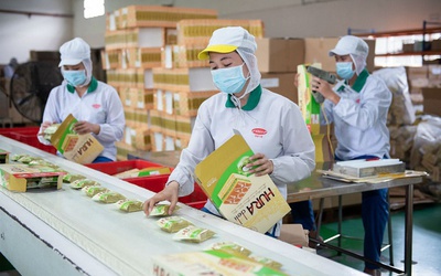 Nhìn lại hành trình gần 25 năm trên sàn chứng khoán của Bibica