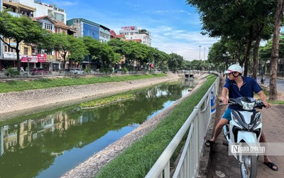 Hiếm thấy: Sông Tô Lịch xanh ngắt, từng đàn cá tung tăng bơi lội