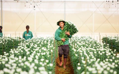 Nợ vay của PAN Farm phình to trong nửa đầu năm 2025