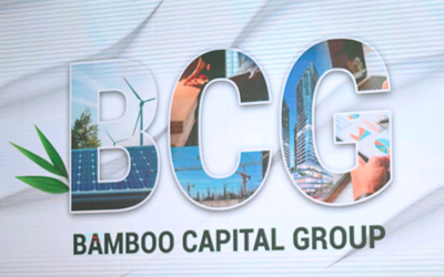 HoSE đưa cổ phiếu BCG và TCD vào diện cảnh báo