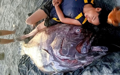 Ngư dân bắt được cá mú khổng lồ nặng 141 kg trên biển